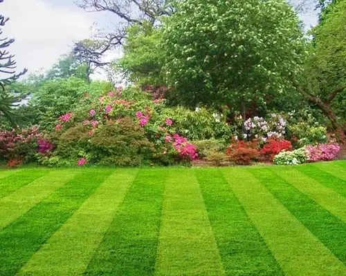 Aiken-South Carolina-landscaping