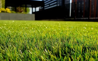 The Benefits Of Hiring a Professional Grass Cutting Service