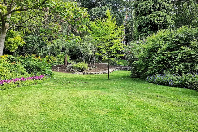 The Definitive Guide To Choosing The Right Landscaping Edging For Your Yard
